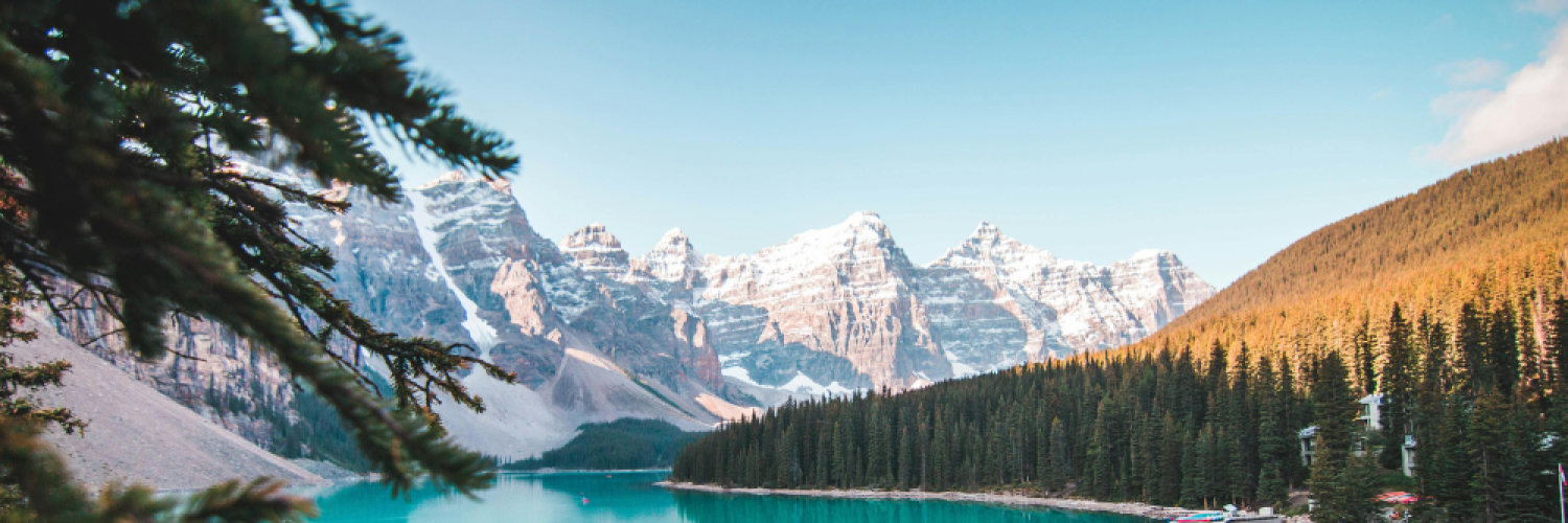 Meditation with Ease: Guided In-person Meditation
